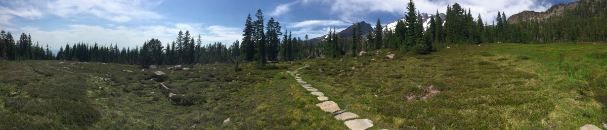 Path through Mount Shasta valley